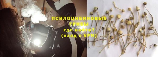 прущая мука Белокуриха