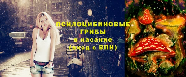 первитин Богородск