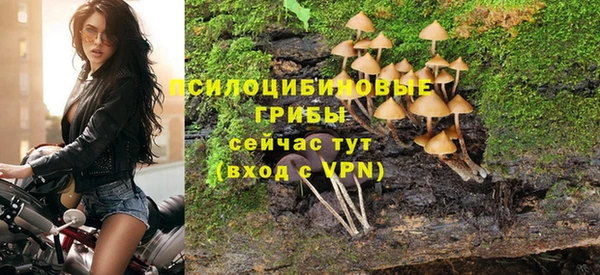 прущая мука Белокуриха