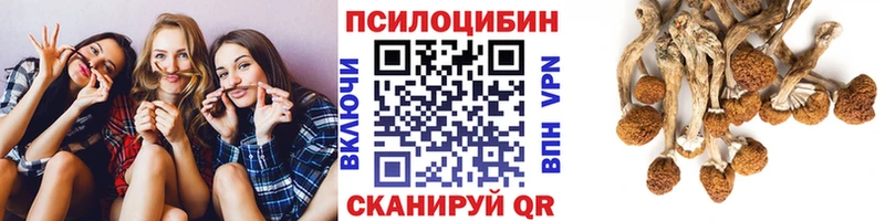 Псилоцибиновые грибы Cubensis  Богучар 