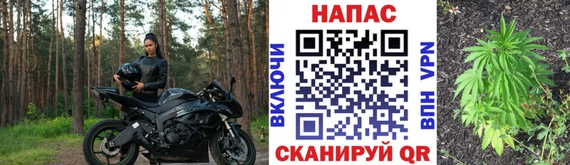 Канабис гибрид  Богучар 